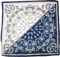 VIVIAN & VINCENT Pure Mulberry Silk Scarf for women Square Neck Scarfs 21" x 21" Lightweight Neckerchief Gift Packed
