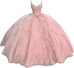 Women's Sweetheart Quinceanera Dresses Ball Gown Spaghetti Straps Lace Applique Sweet 16 Dresses for Teens 28 Blush Pink