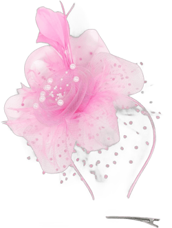 Women's Fascinators Hats Tea Party Headband Kentucky Derby Headpiece Feather Mesh Headwear Cocktail Hair Clip One Size A Light Pink
