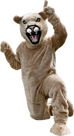TCDesignerProducts Cougar Mascot Costume Tan, School Spirit Sports Fan Gear, Football Cheerleader Accessories, Homecoming