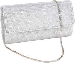Womens Evening Wedding Party Small Clutch Bag Prom Shoulder Chain Handbag Tote Silver