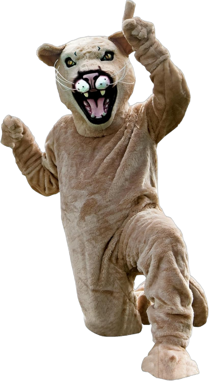 TCDesignerProducts Cougar Mascot Costume Tan, School Spirit Sports Fan Gear, Football Cheerleader Accessories, Homecoming